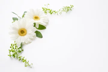 Deurstickers 白い花　ガーベラの招待状 © shironagasukujira
