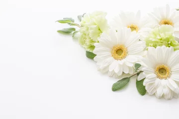 Fotobehang 白い花　ガーベラの招待状 © shironagasukujira