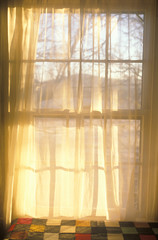 Sheer curtains through paned window