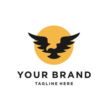 eagle falcon flying in front of the sun