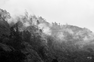 misty mountain landscape