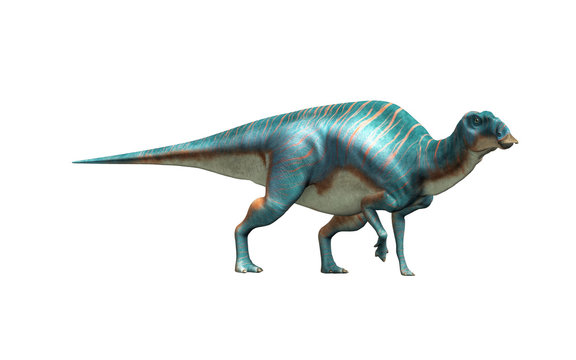 Maiasaura 
Maiasaura, a hadrosaur, on a white background. This duck billed dinosaur, now extinct, was an herbivore that lived during the cretaceous period. 3D Rendering. 