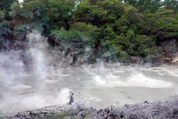 Boiling Mud, Wai-O-Tapu Thermal Wonderland, Rotorua, New Zealand, February 2020