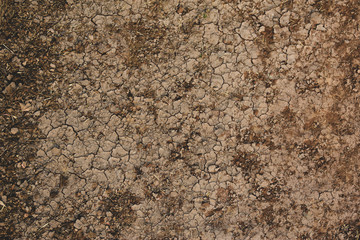 Dried up paddy field, can be use for background.