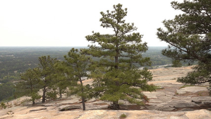 On the top of Stone Mountain