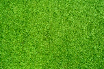 Fototapeta premium Artificial grass texture