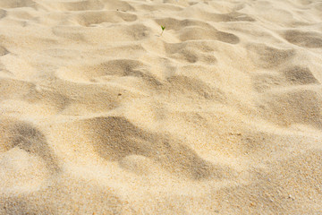 Background and texture, Top view of beach sand texture as background. sand in summer sun.