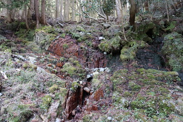 竜ヶ岳　日本　景色　登山