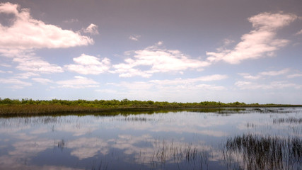 Obraz premium Airboat Ride in the Everglades near Miami