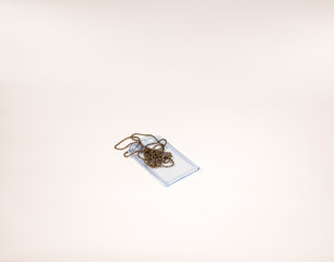 Plastic ID holder isolated against a white background