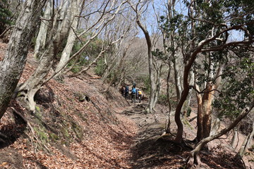 竜ヶ岳　日本　景色　登山