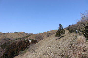 竜ヶ岳　日本　景色　山