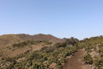 竜ヶ岳　日本　景色　山