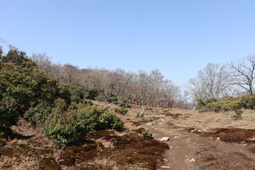 竜ヶ岳　日本　景色　山