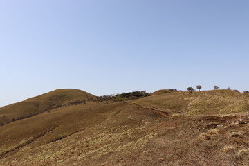 竜ヶ岳　日本　景色　山