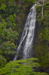 waterfall in the forest