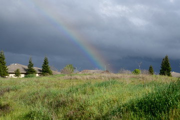 Beautiful Rainbow in the Field