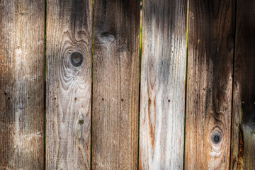 Wood Background