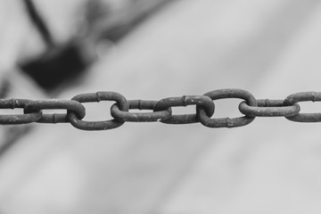 Black and white picture old chain.