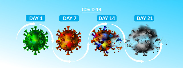 Corona virus life cycle in a days, weeks, and months. Covid-19 from life until death concept. Coronavirus is gone. - Vector