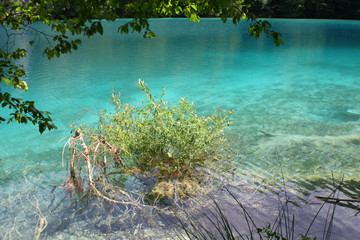 Majestic view on turquoise water and sunny beams in the Plitvice Lakes National Park. Croatia. Europe Dramatic unusual scene. Cute green bush and clear water of a national park with crystal lakes.