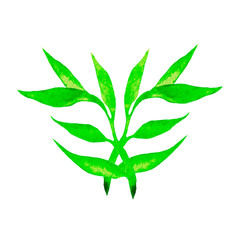 green twig with petals. spring, summer, fresh.