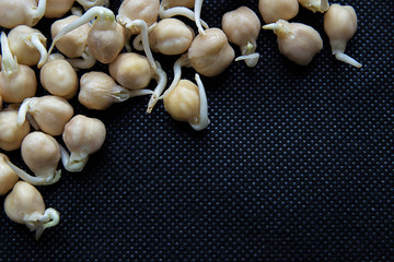 Sprouted chickpeas scattered on a black background