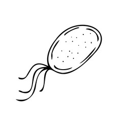 vector isolated element, black and white bacterium without background hand-drawn