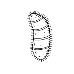 vector isolated element, black and white bacterium without background in doodle style