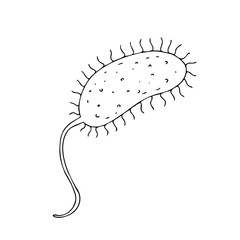 vector isolated element, black and white bacterium without background