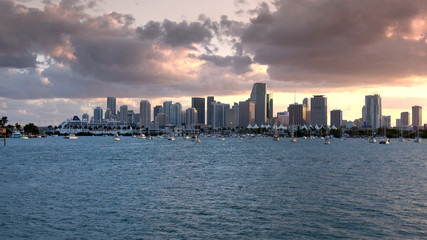 Beautiful evening view over the skyline of Miami in the evening