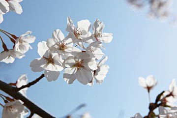 한국 인천시 남동구 인천대공원 입니다
