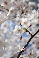 한국 인천시 남동구 인천대공원 입니다