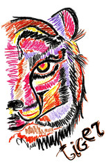 Illustration of a muzzle of a tiger, wax crayons, colored pencil.