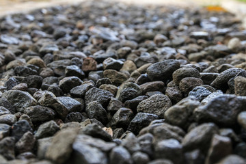 pile of blueberries
