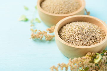 Organic brown quinoa seed in a wooden bowl and quinoa plant on pastel color background, healthy food