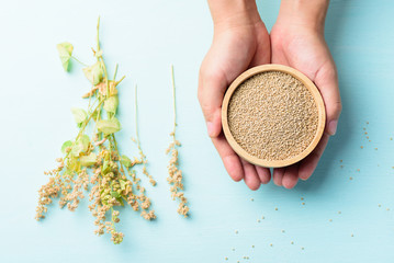 Organic brown quinoa seed in a wooden bowl holding by hand with quinoa plant on pastel color background, healthy food, top view