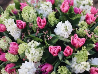 background and texture of flowers with pink tulips and white matiola flowers