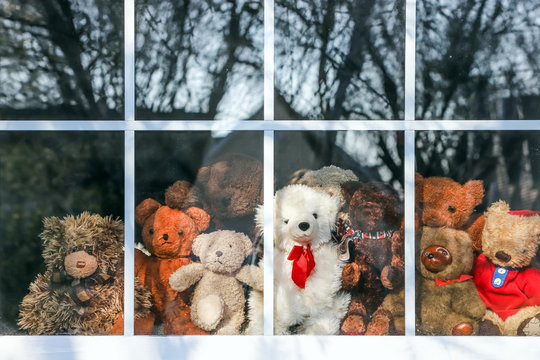 Group Of  Teddy Bears Sitting In A Window Set Up For A Bear Hunt Duing Quarantine