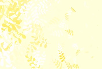 Light Yellow vector doodle background with leaves.