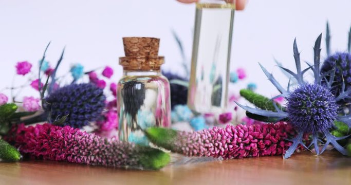 Perfumer creating new aroma liquid parfume putting essential oil in vial on table. Fresh purple pink flowers with bottles on white background. Production of homemade perfume, scent, fragrance.
