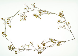 Colorful spring flowers shot top down