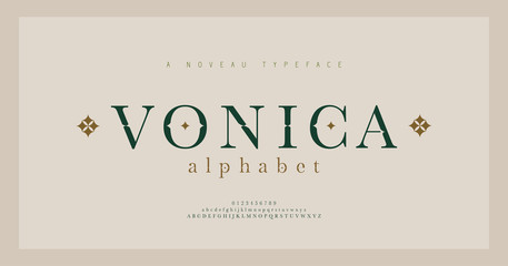 Elegant alphabet letters serif font and number. Classic Lettering Minimal Fashion. Typography fonts regular uppercase, lowercase and numbers. vector illustration