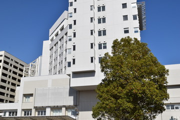 総合医療施設