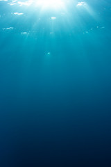 Blue water background underwater in ocean 