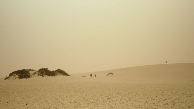 sandstorm on beach in Corralejo, Fuerteventura.