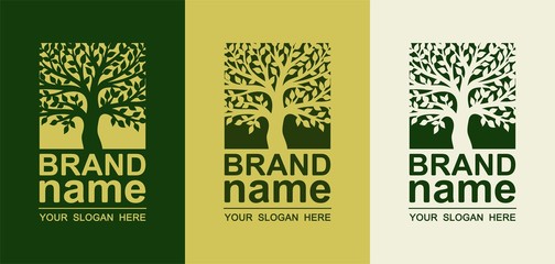 Set of square tree logos. Icon, eco sign, bio symbol, brand identity, logotype template, badge, label, design elements for gardening, business, agriculture, healthy, natural food. Vector illustration.