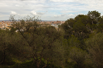 Panorama of Palma de Mallorca with the port and the cathedral on a cloudy day in spring. View from castell de bellver.