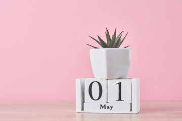 Wooden block calendar with date May 1 and succulent plant in the pot on yellow background. Labor...