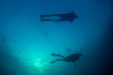 Scuba diving 